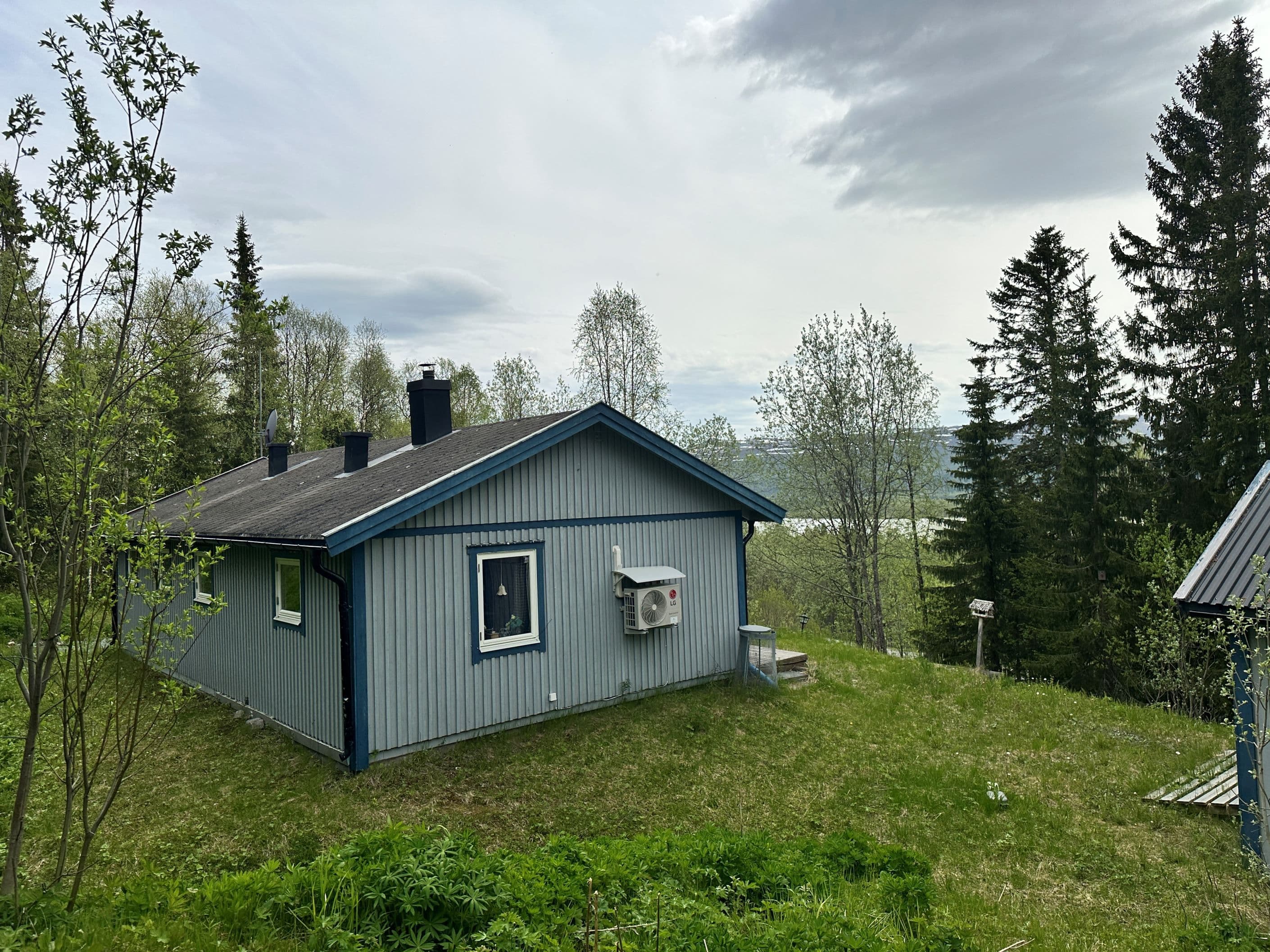 Exteriör