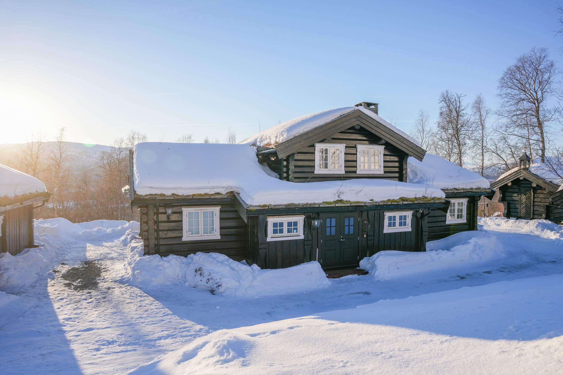 Exteriör