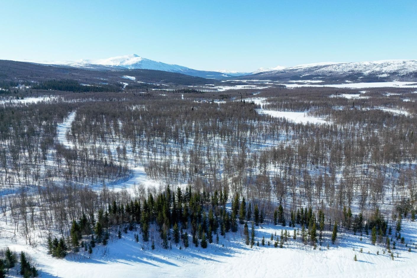 Norra Fjällnäs 1:111