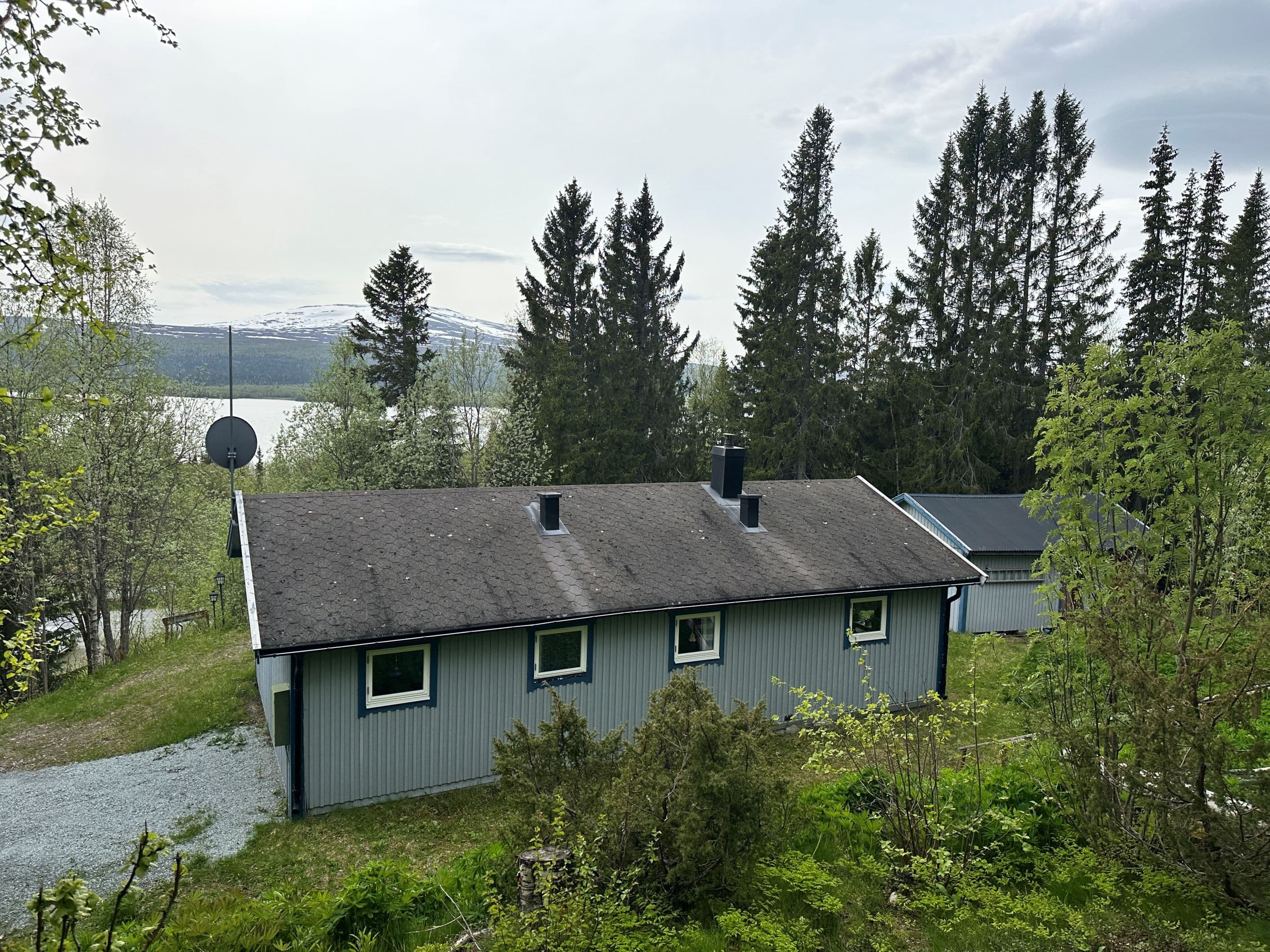 Exteriör