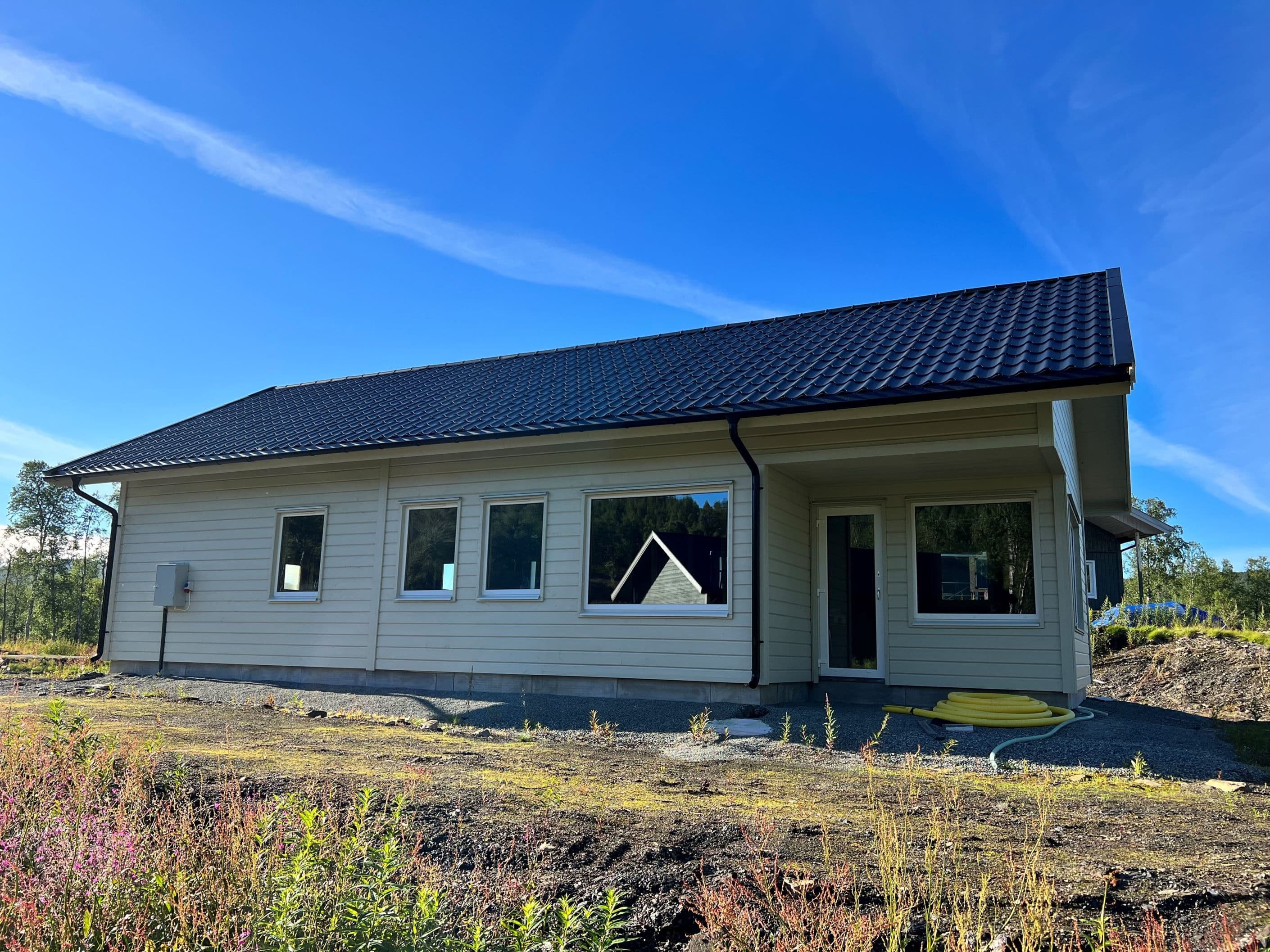 Exteriör