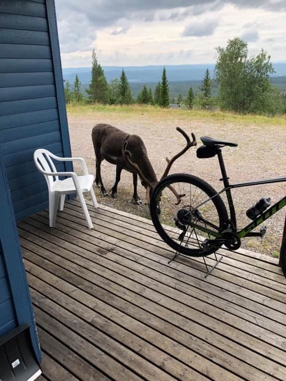 Ren tur att cykeln är kvar