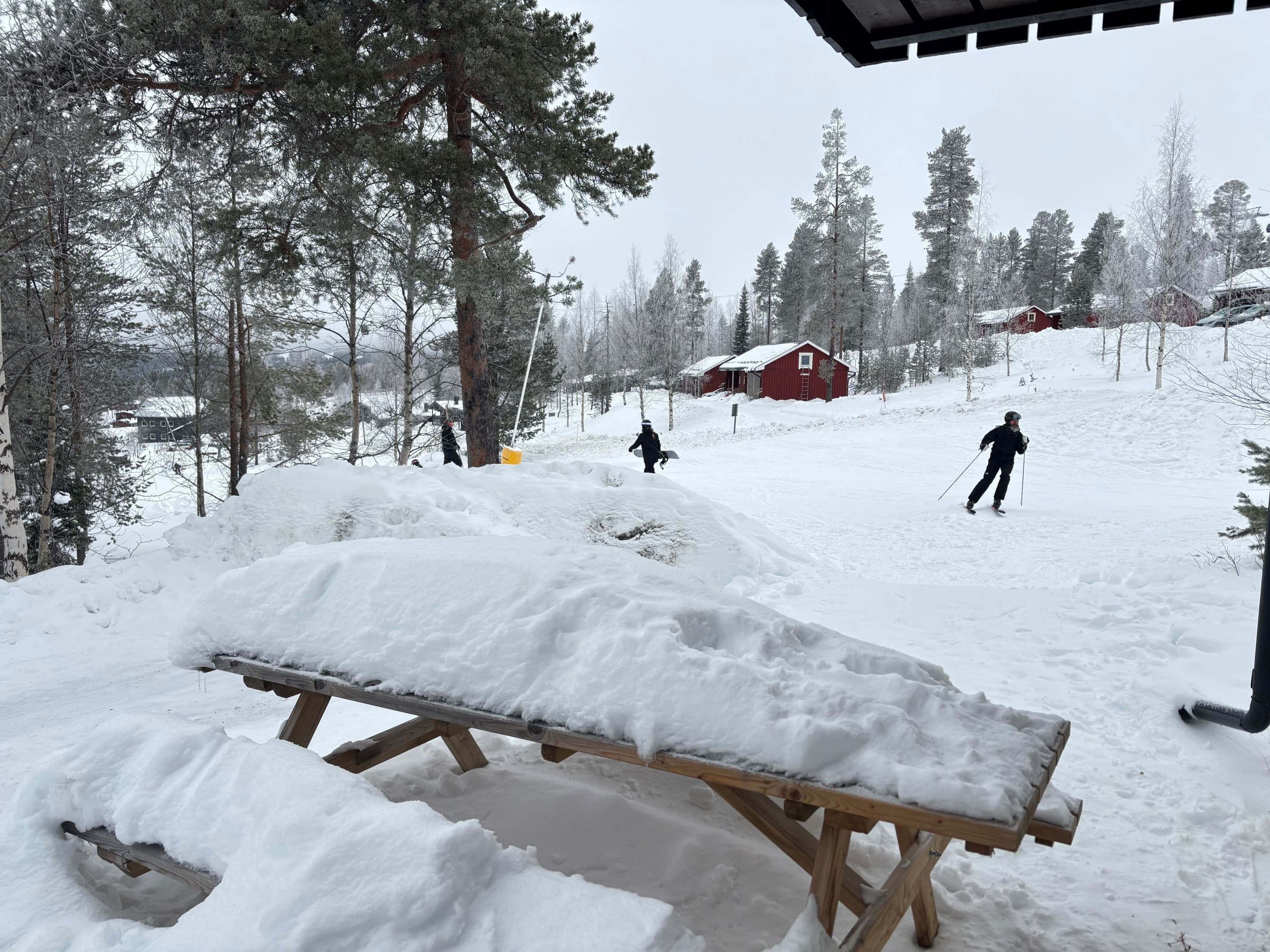 Ski in- ski out