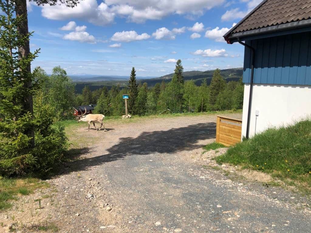 Fantastisk utsikt