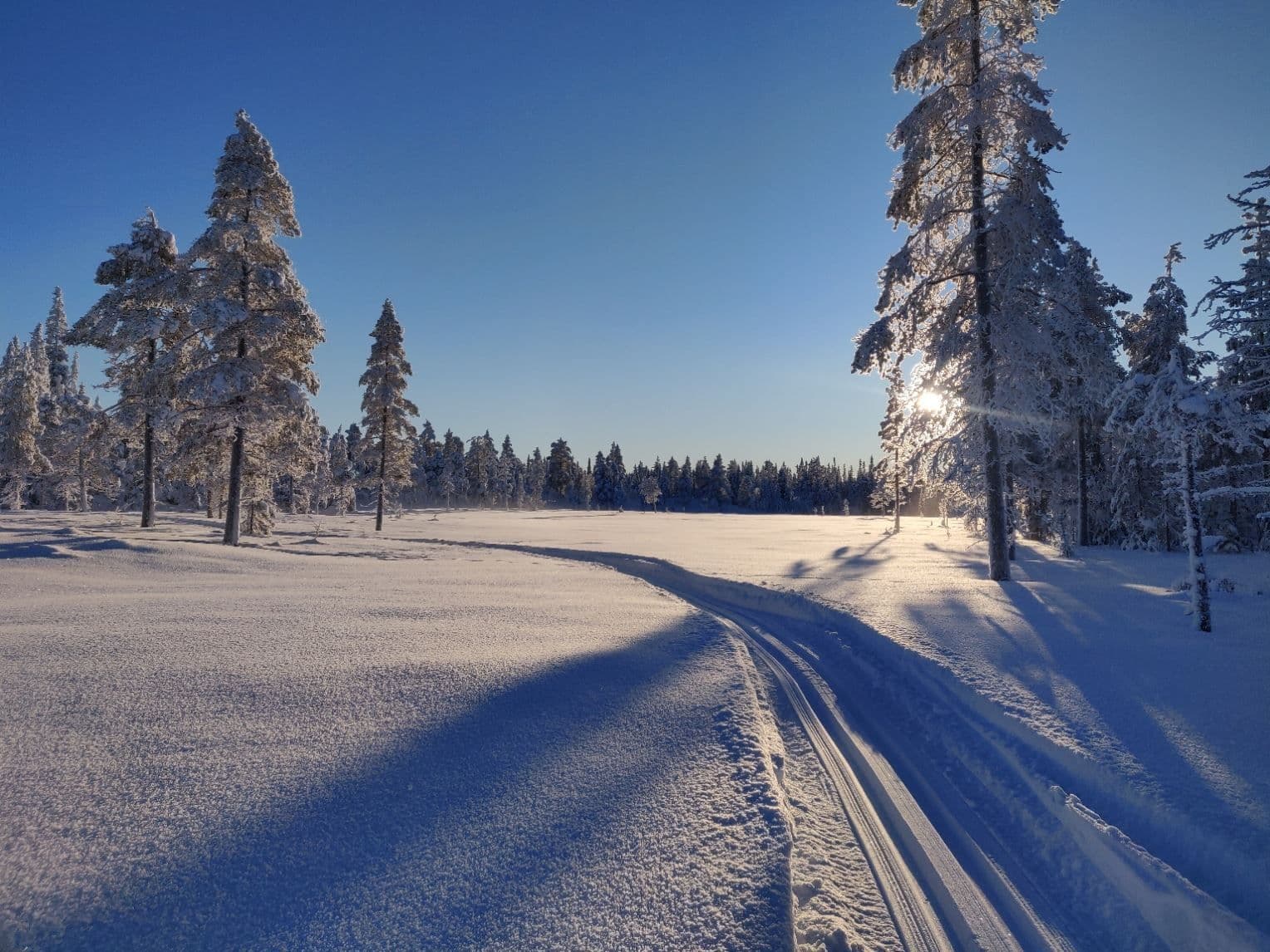 Skidspår på myrarna