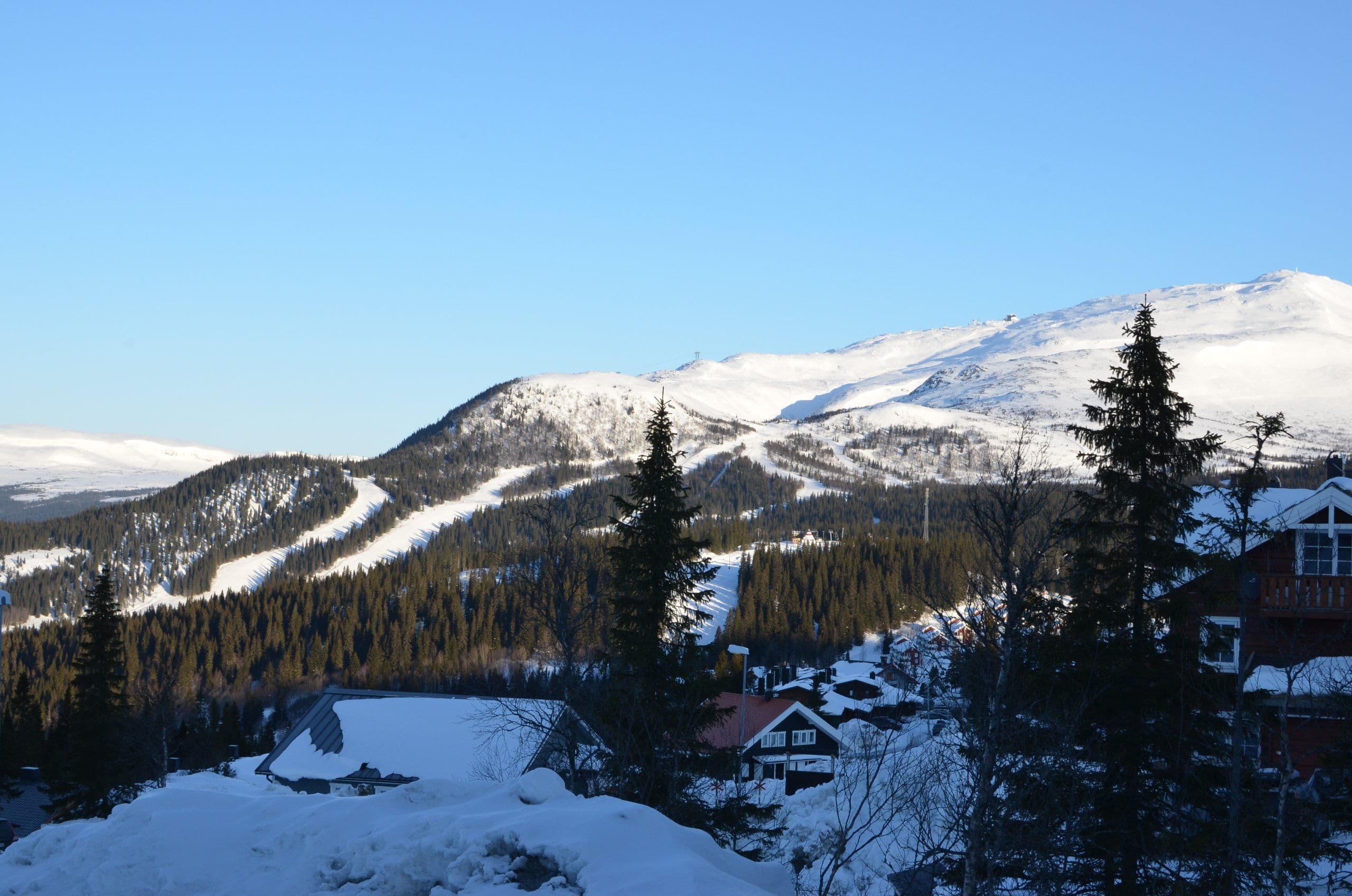 Säljarnas egen bild