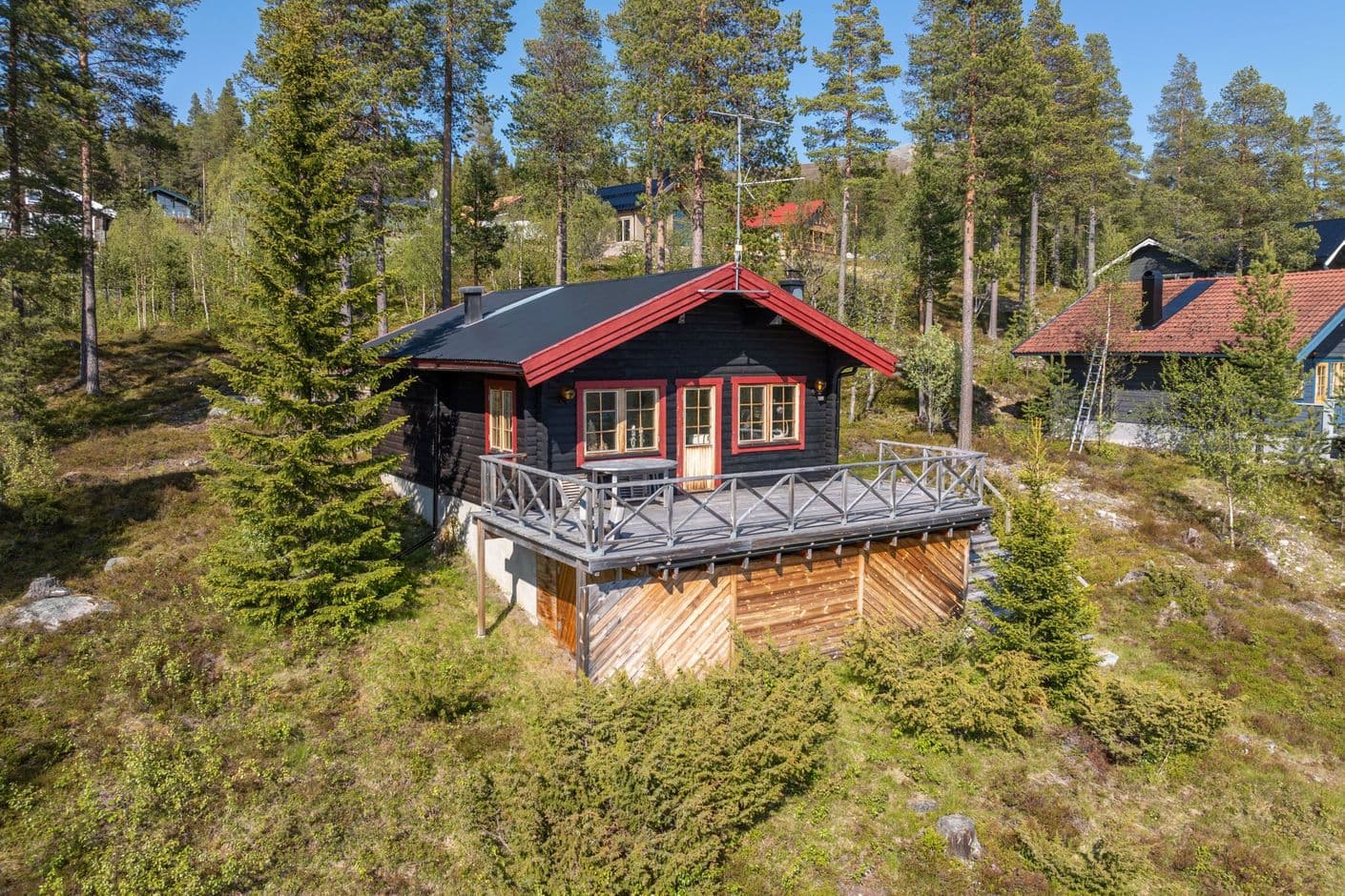 Lövhammaren Rödbläran 7