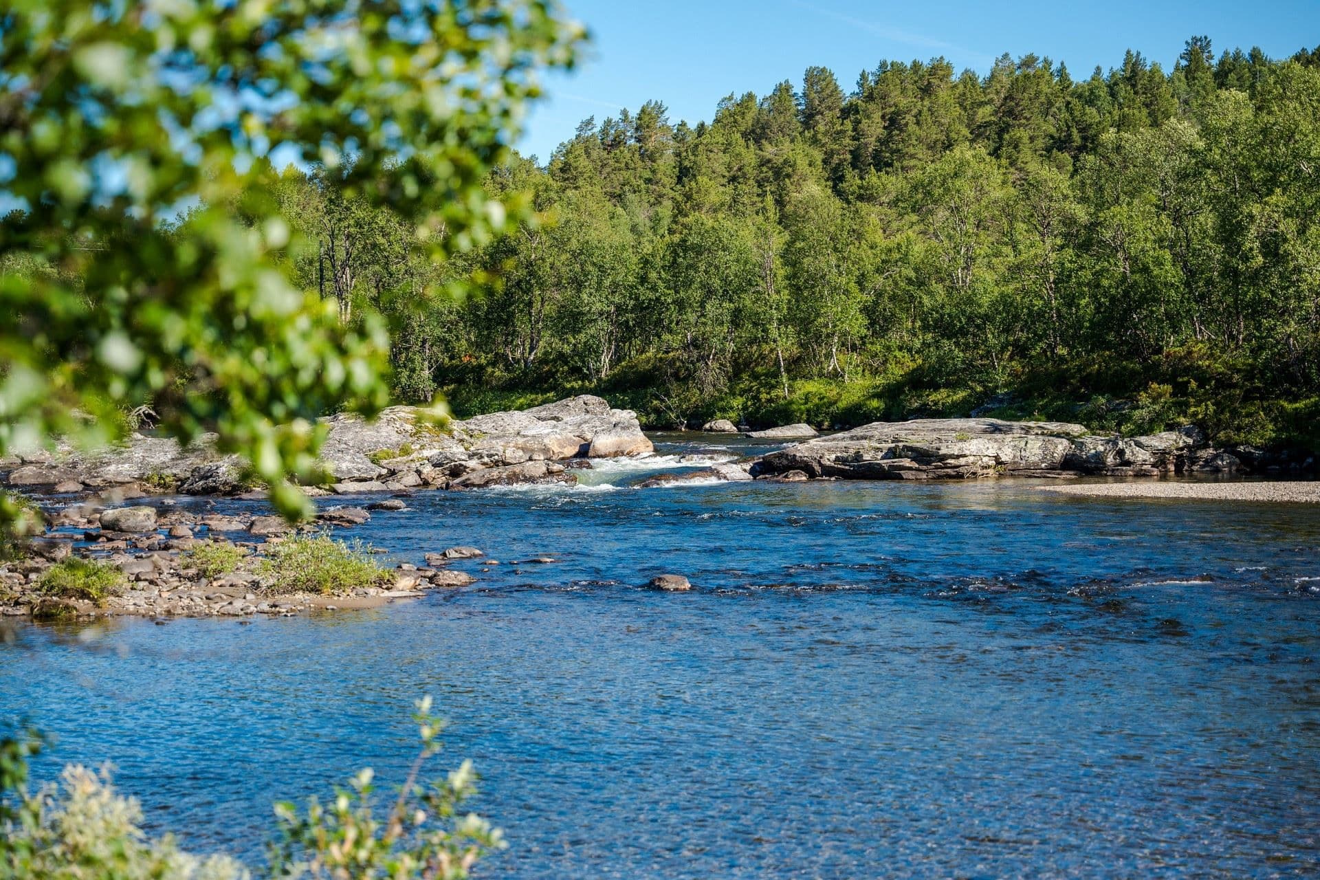 Ljusnan som slingrar vackert genom Flon