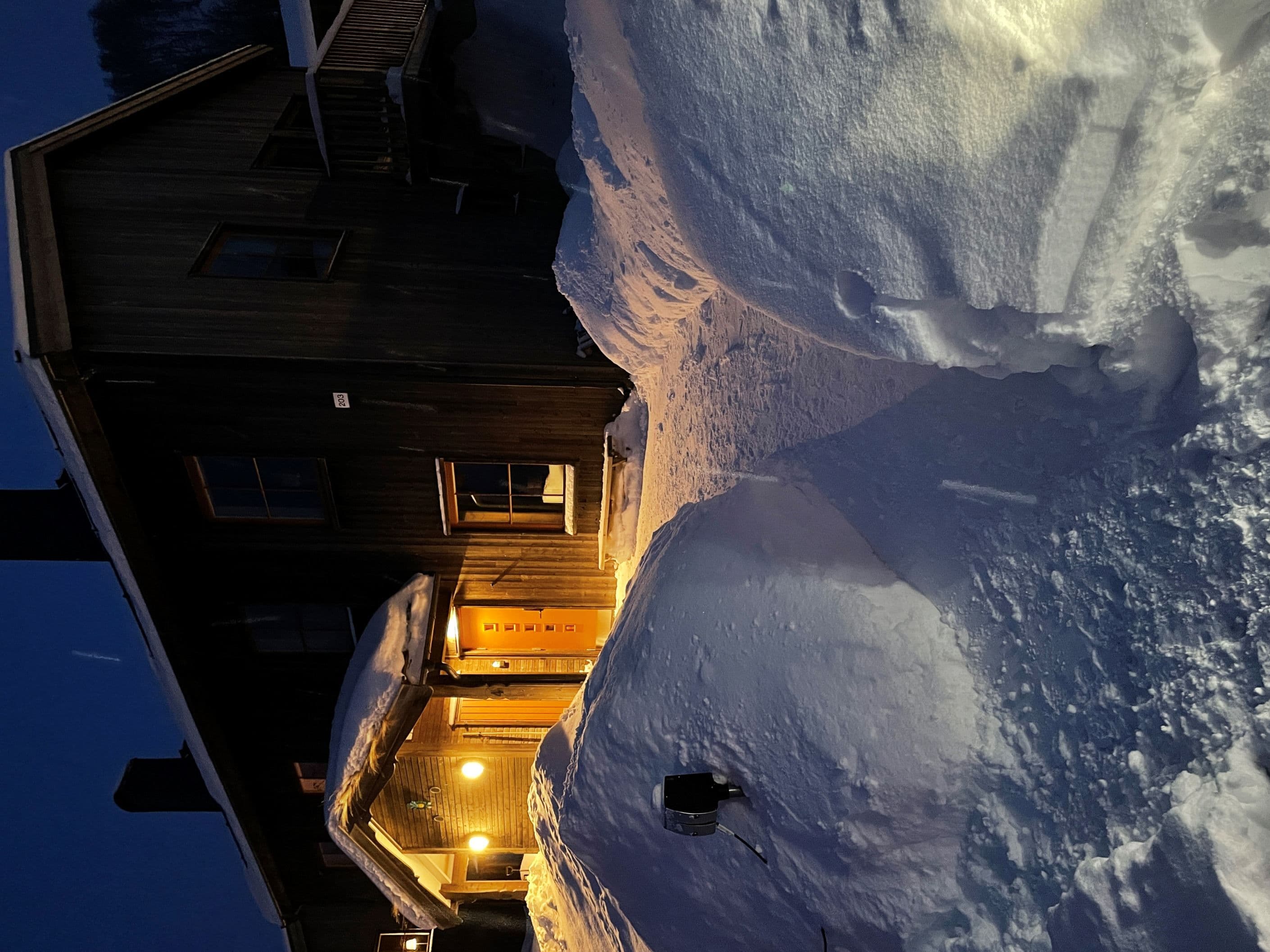 Säljarens foto