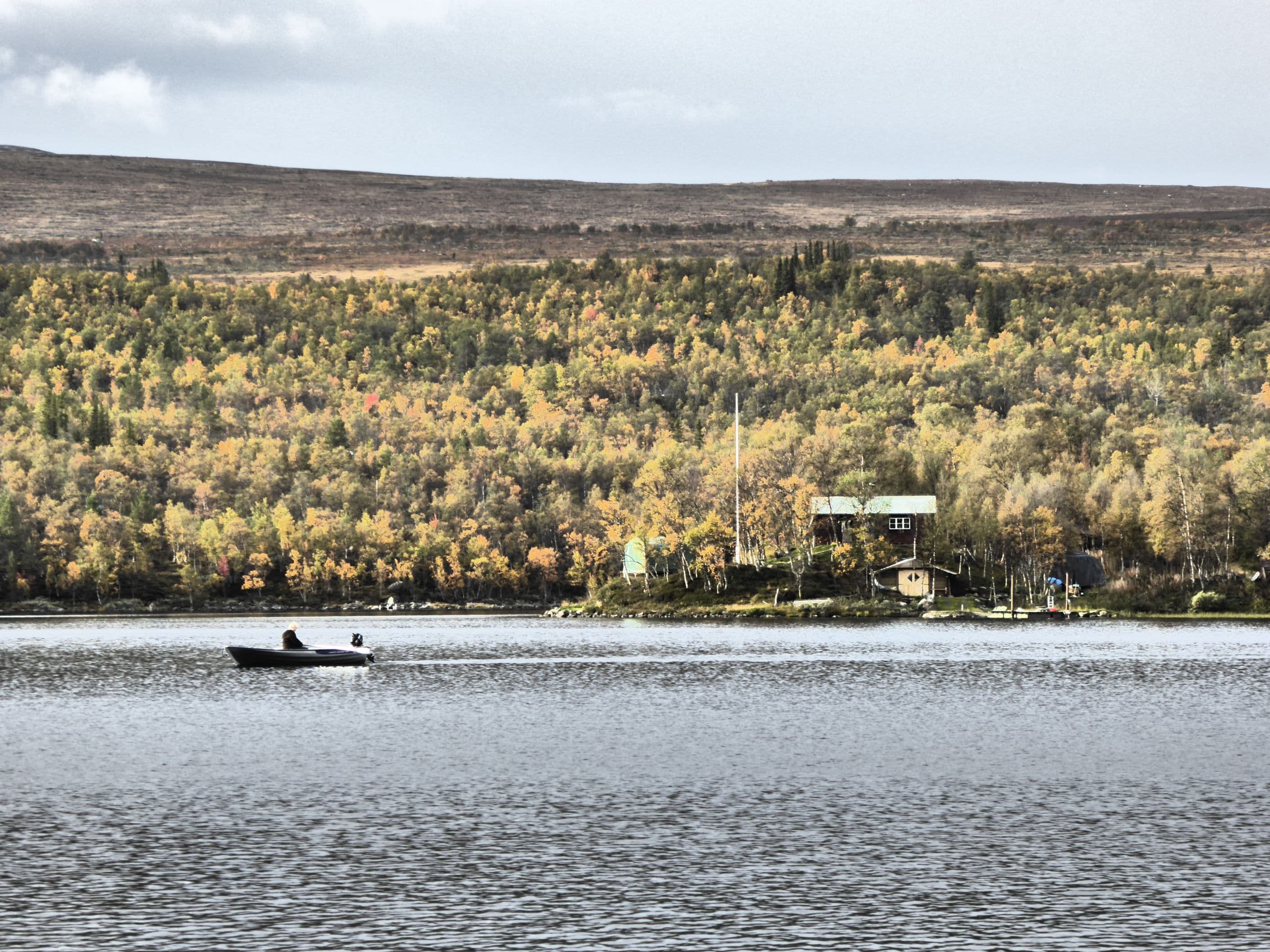 Säljarens foto