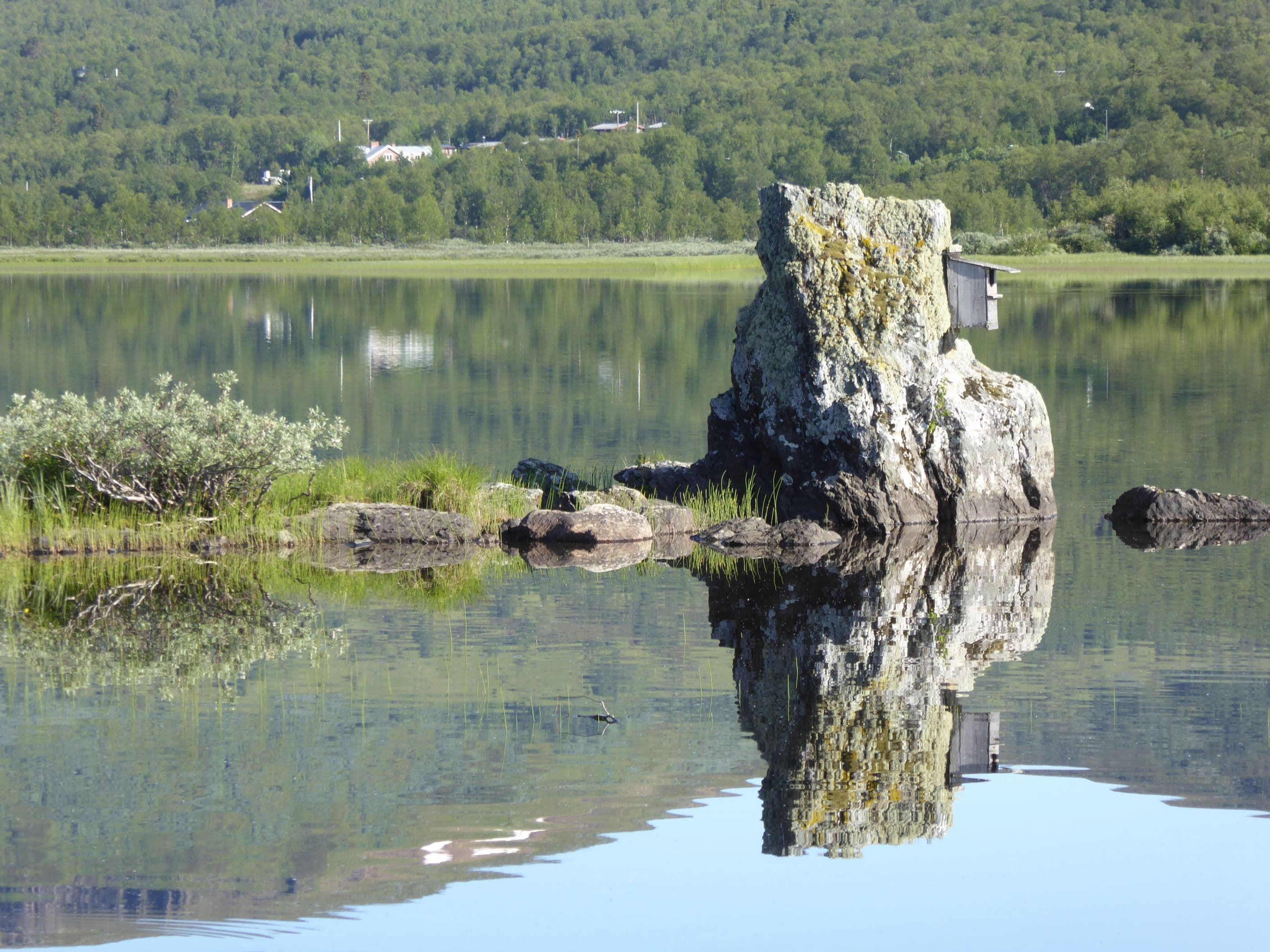 Säljarens foto