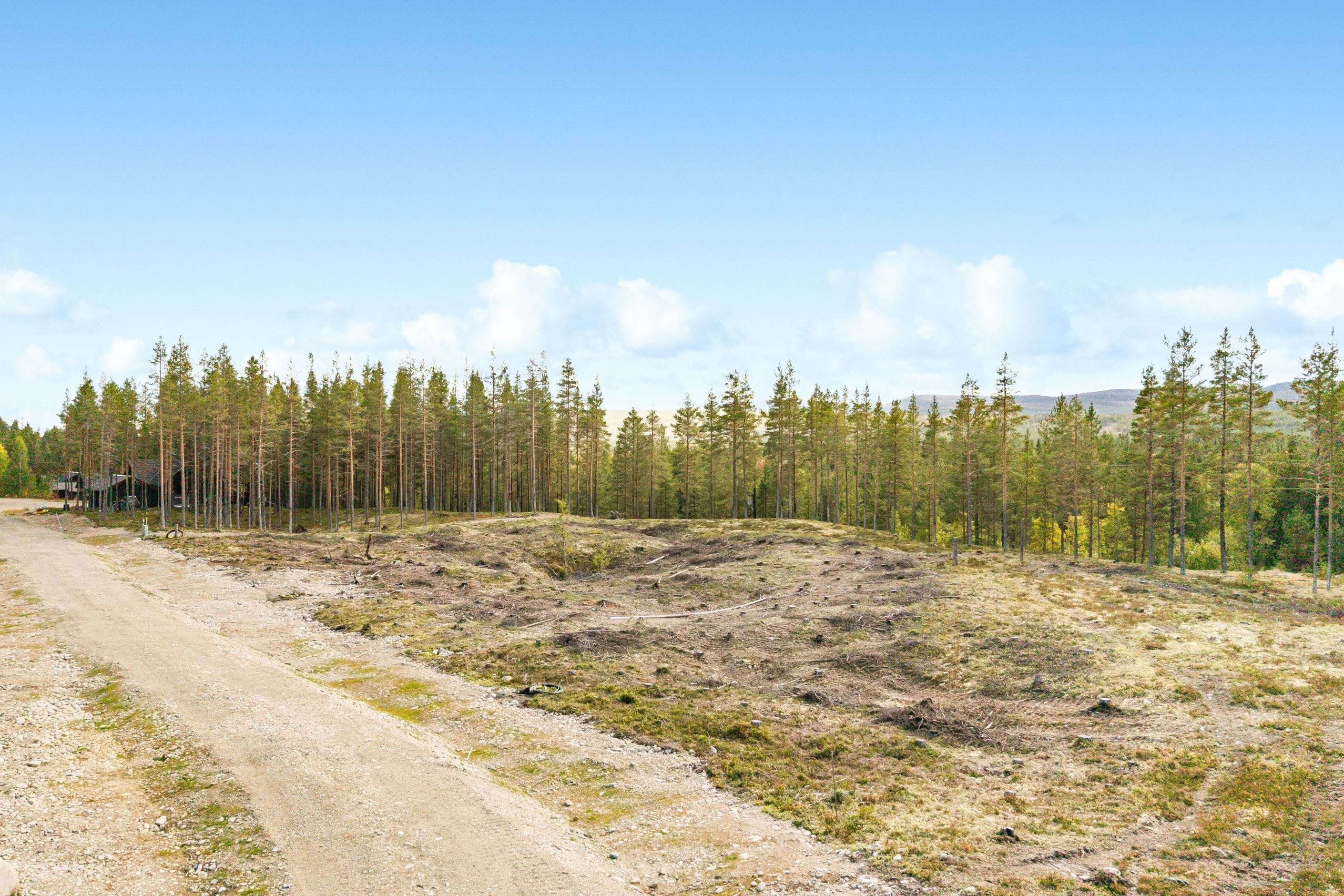 Bildkategori