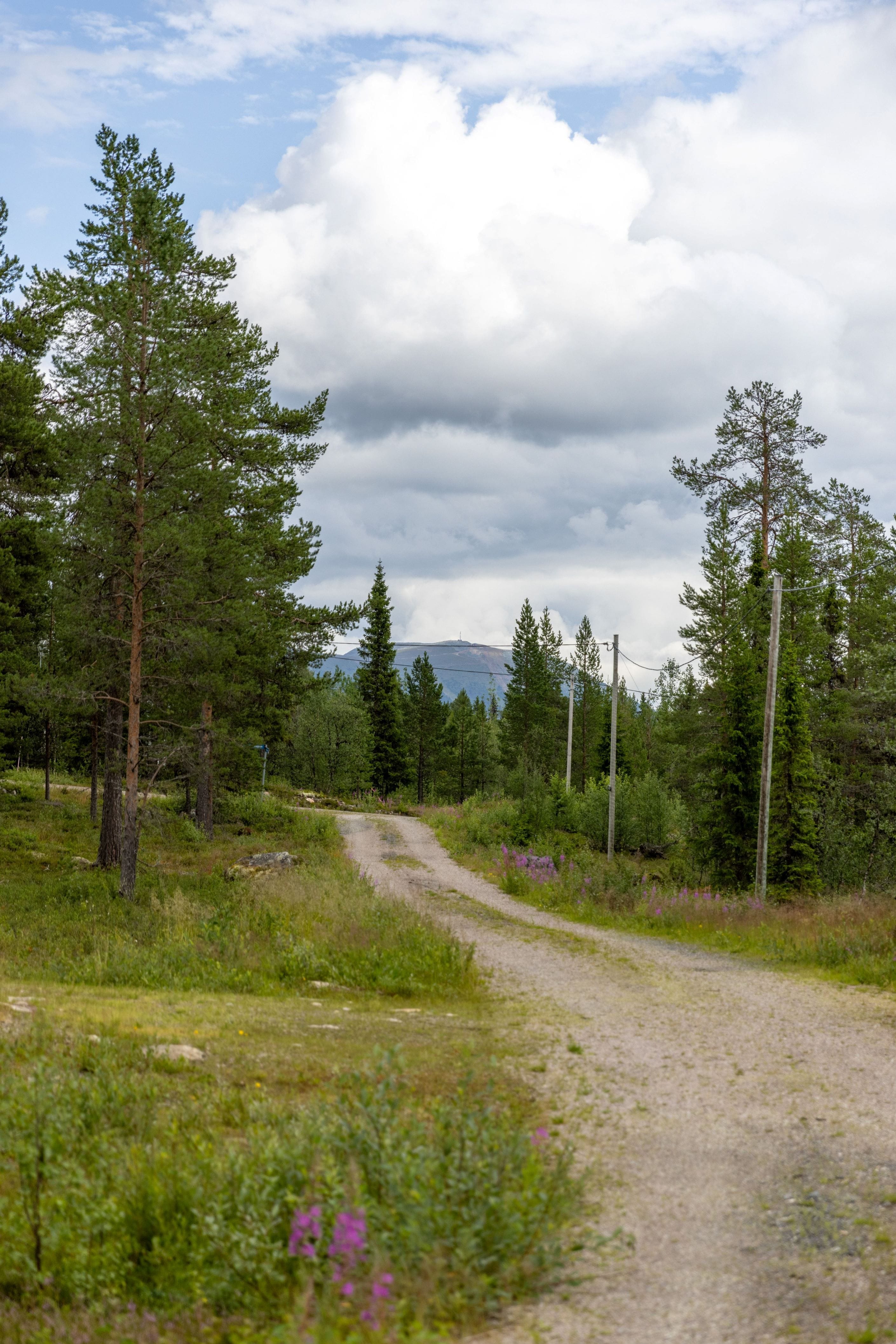 Områdesbild